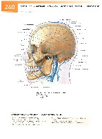 Sobotta Atlas of Human Anatomy  Head,Neck,Upper Limb Volume1 2006, page 267